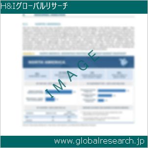 グローバルリサーチ調査レポートのイメージ